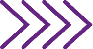 Seta